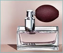 Prada Tendre